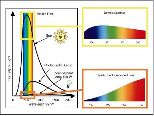 太陽光と水銀光のスペクトラム図